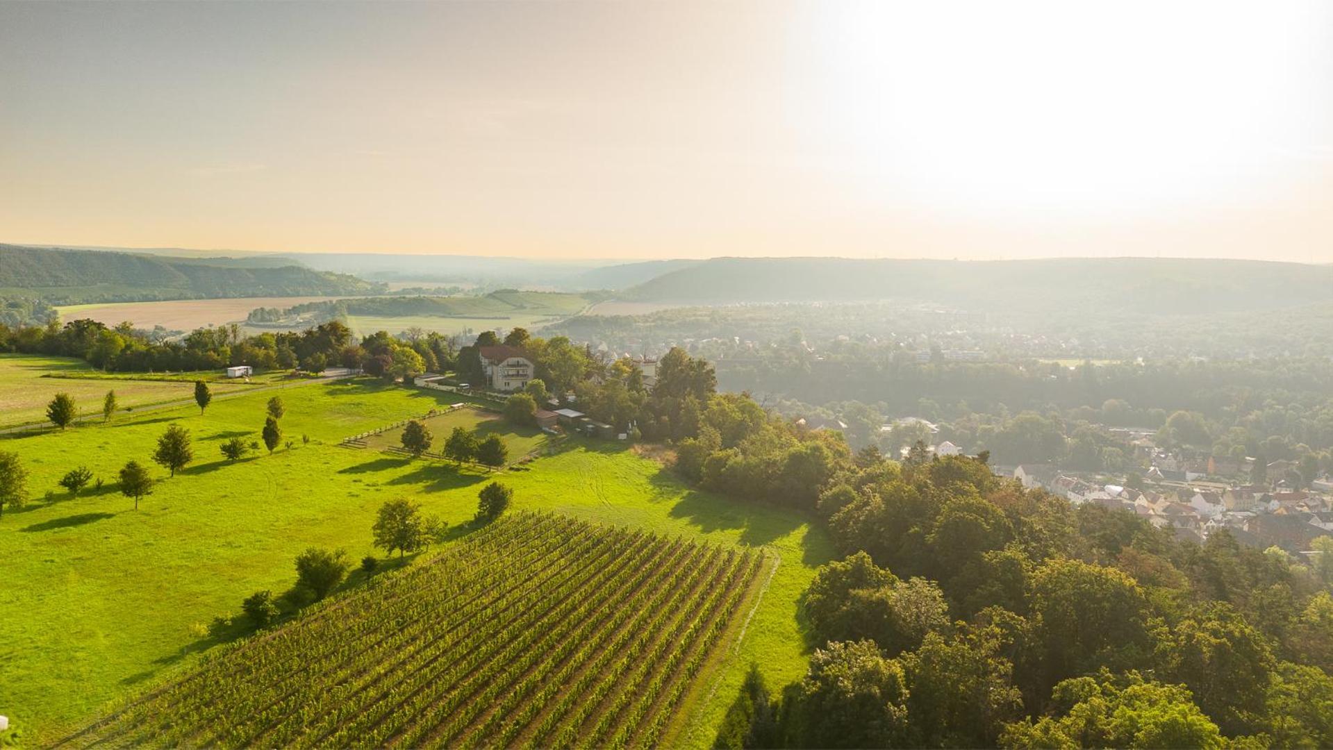 Berghotel Wilhelmsburg Bad Kosen Ngoại thất bức ảnh